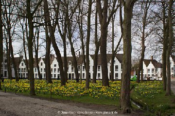 2017 03 21 Bruegge 05