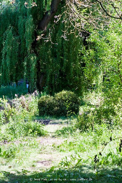 2017 05 27 Garten 03