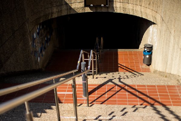 2017 09 03 Alma Mater 26