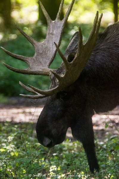 2017 09 22 Wildpark 17