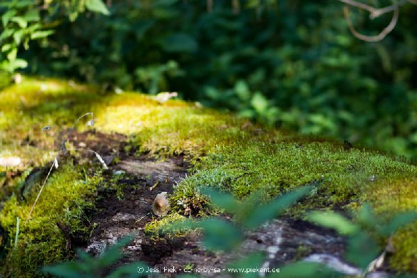 2017 09 22 Wildpark 39