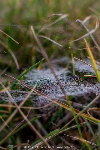 2017 09 30 Ob der Tauber 06