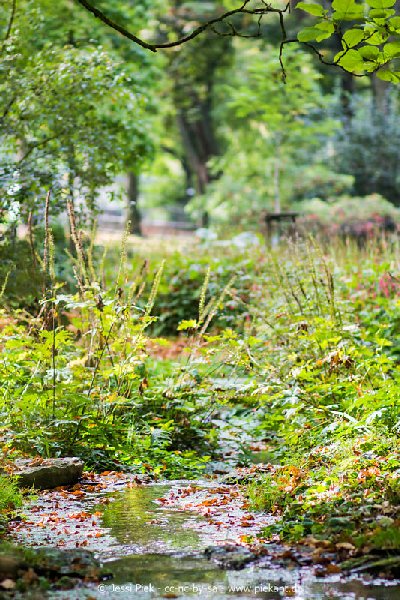 2017 09 30 Ob der Tauber 11