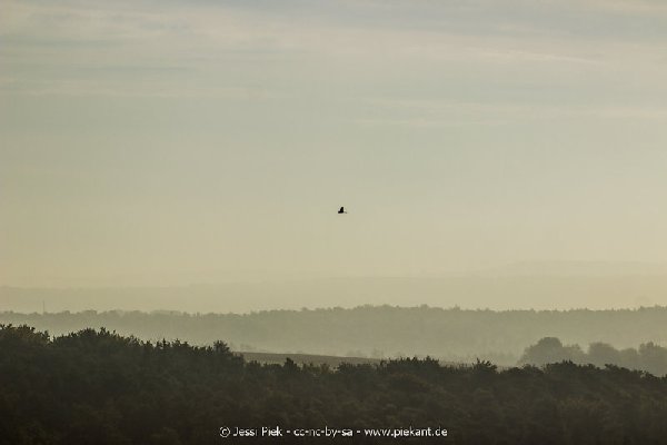 2017 09 30 Ob der Tauber 13