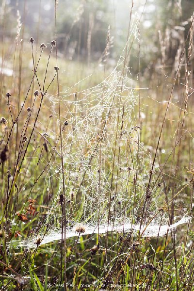 2017 09 30 Ob der Tauber 29