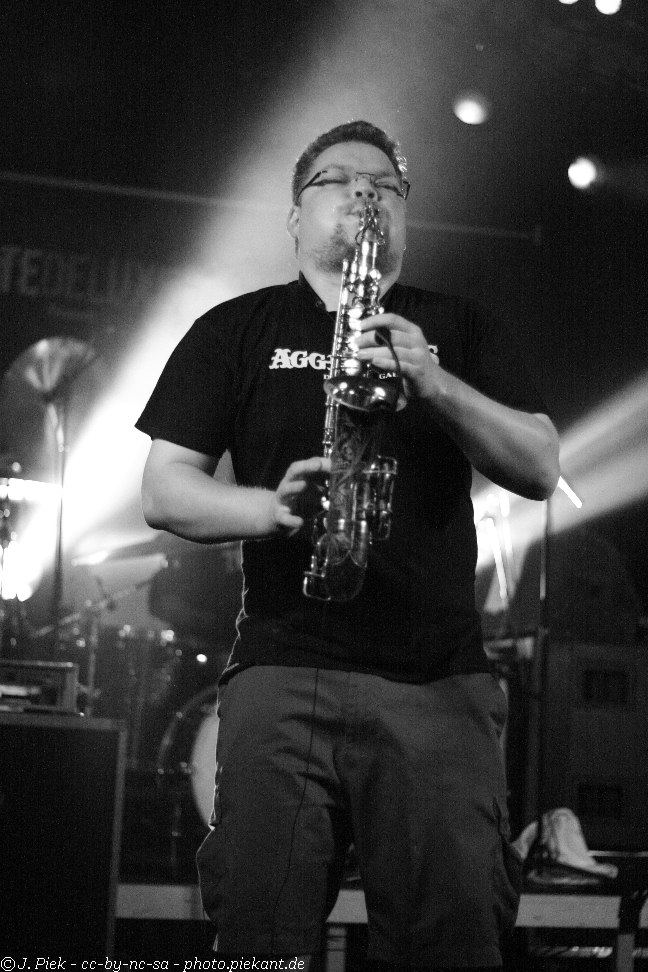 20120908 DEDHalle low 15