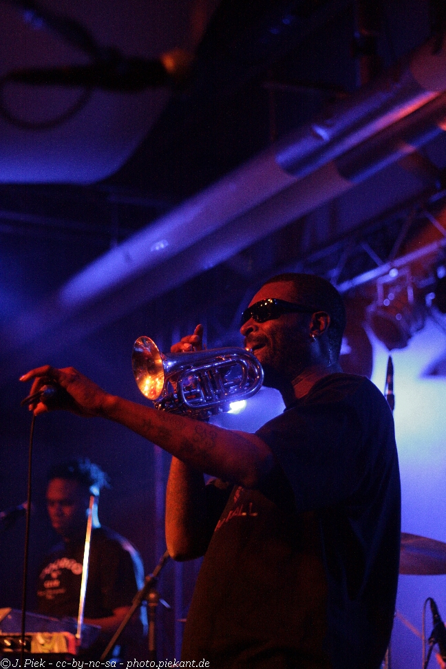 20121119 Fishbone low 46