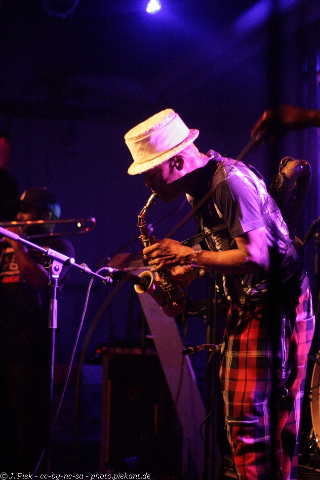 20121119 Fishbone low 50