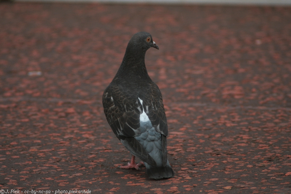 20120827 London Day2 low 43