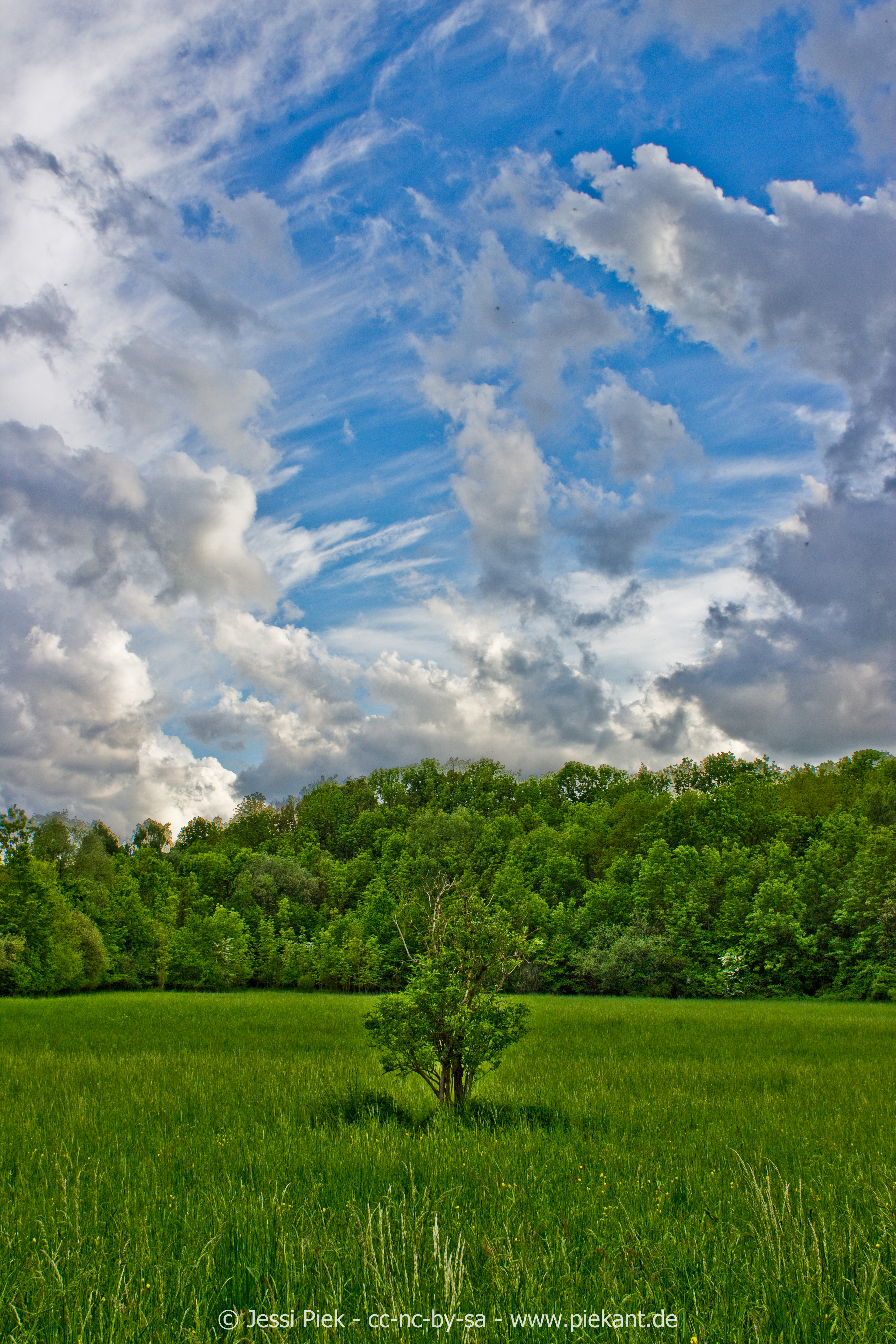 2015 Fides Geburtstag